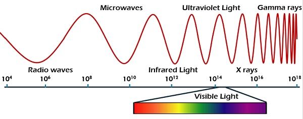Radio Waves and Microwaves